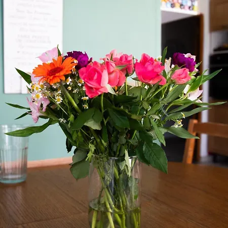 Nyaraló Large Family With Spacious Garden!